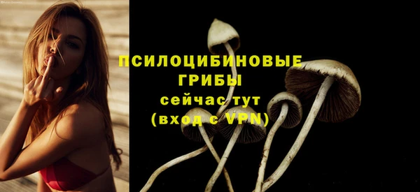 ECSTASY Козловка